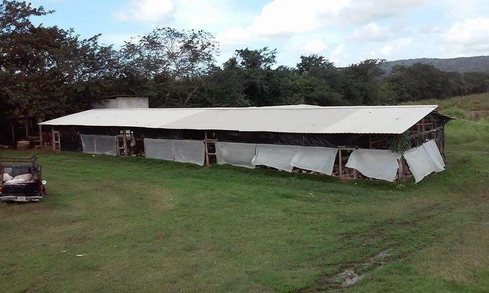 Don Santiago Guesthouse Downtown San Ignacio Exterior photo