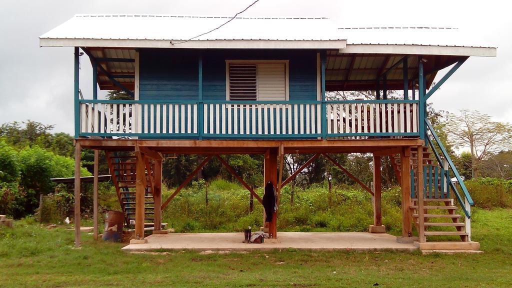Don Santiago Guesthouse Downtown San Ignacio Exterior photo