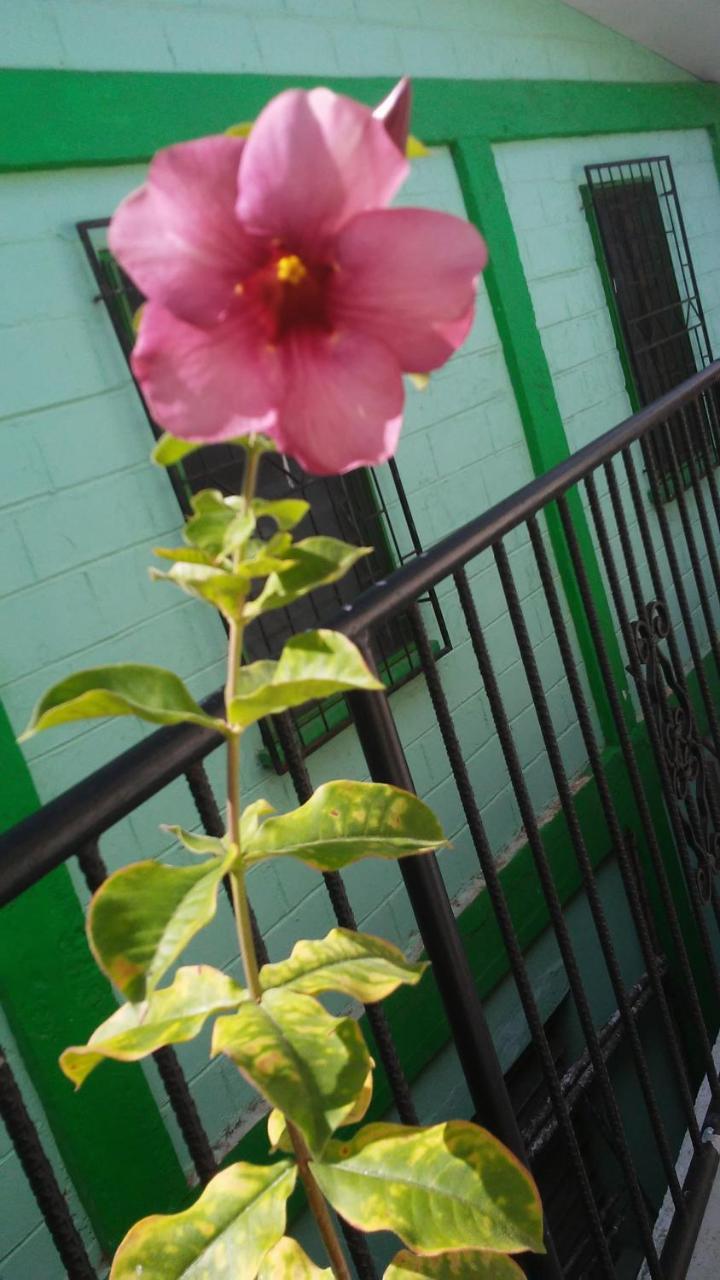Don Santiago Guesthouse Downtown San Ignacio Exterior photo